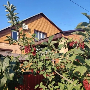 Сдаются 1-4-х местные комнаты - arenda-soliletsk.ru